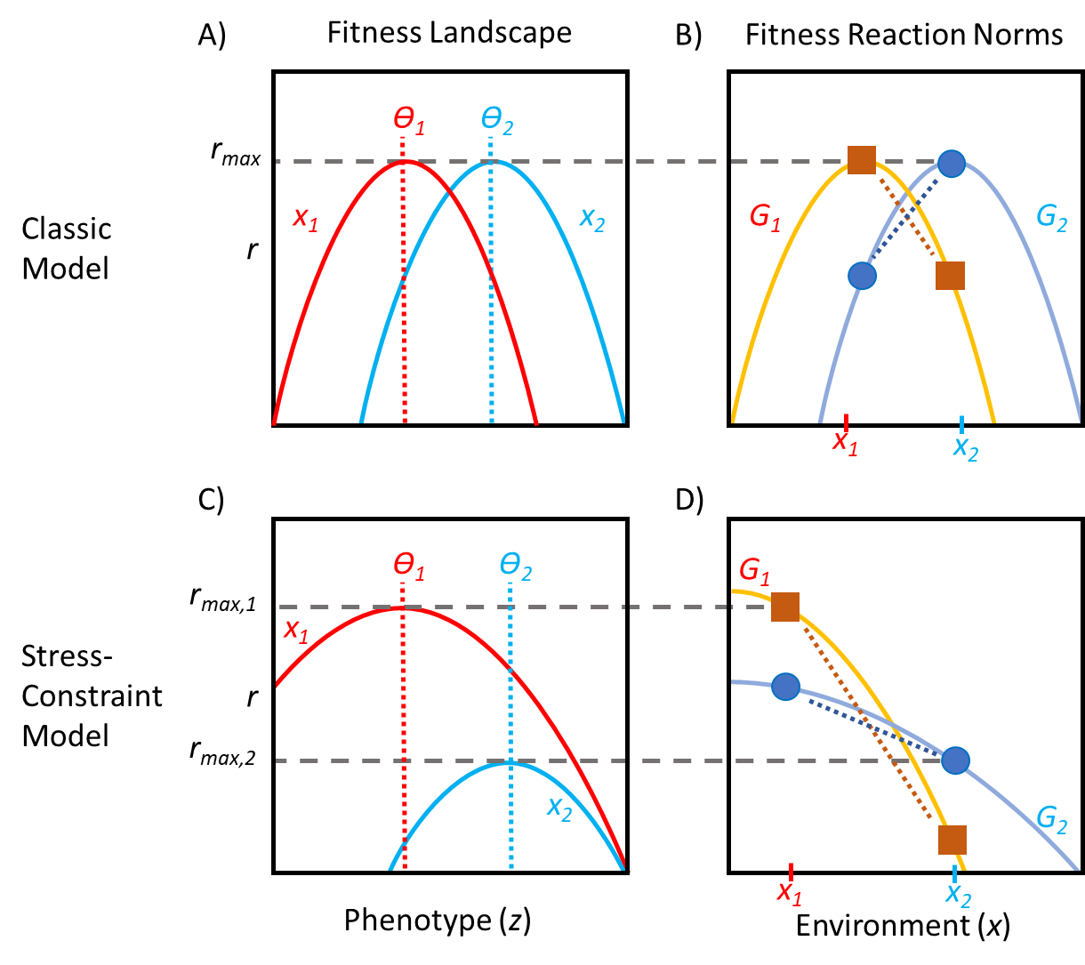 Stress-Constraint Model